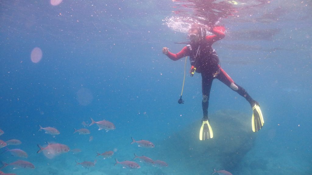 海洋実習3本目のフリー潜行。潜行を開始した直後にカスミアジに囲まれているダイバー